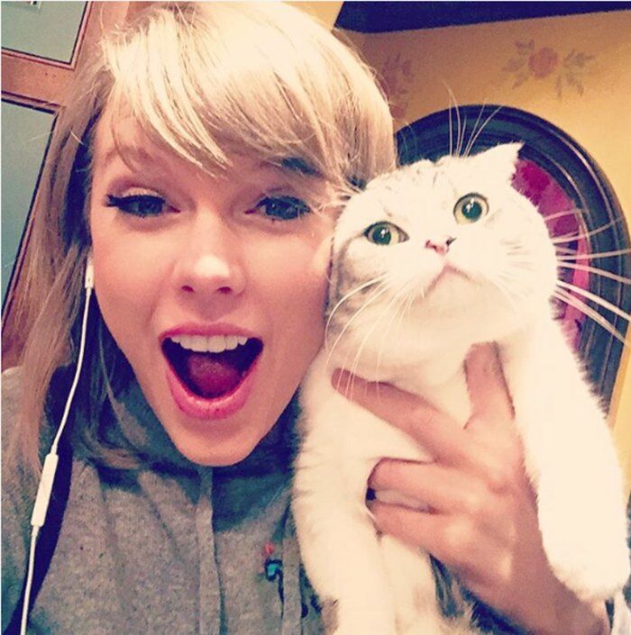 Taylor Swift Cat 5d645