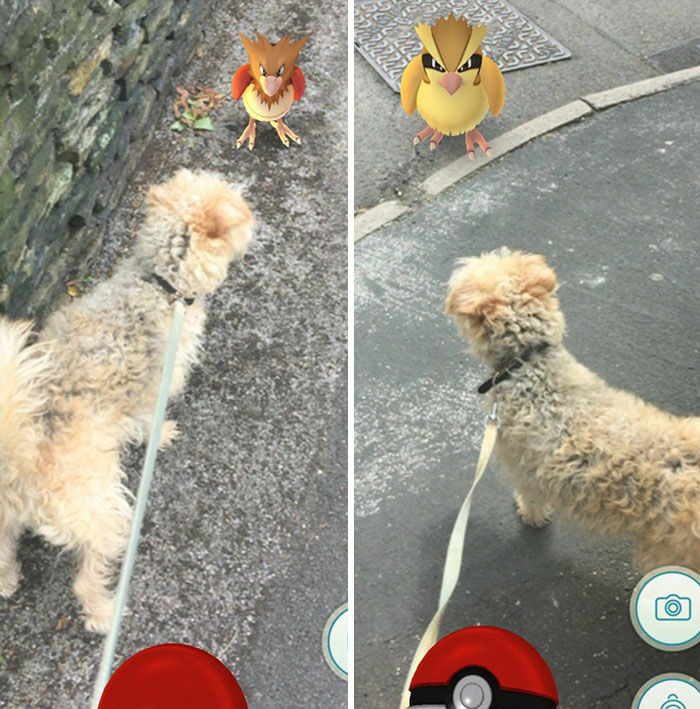 Pokemon Di Tempat Tak Terduga 13