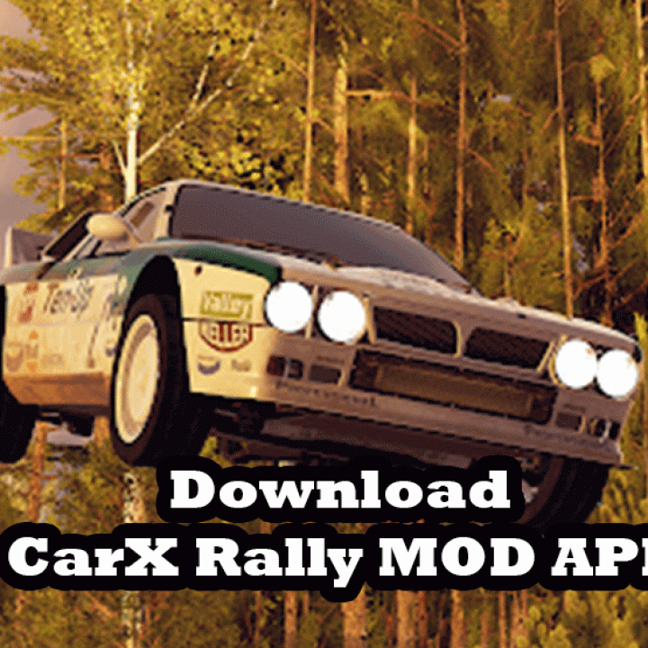 480  Carx Rally Mod Apk Best