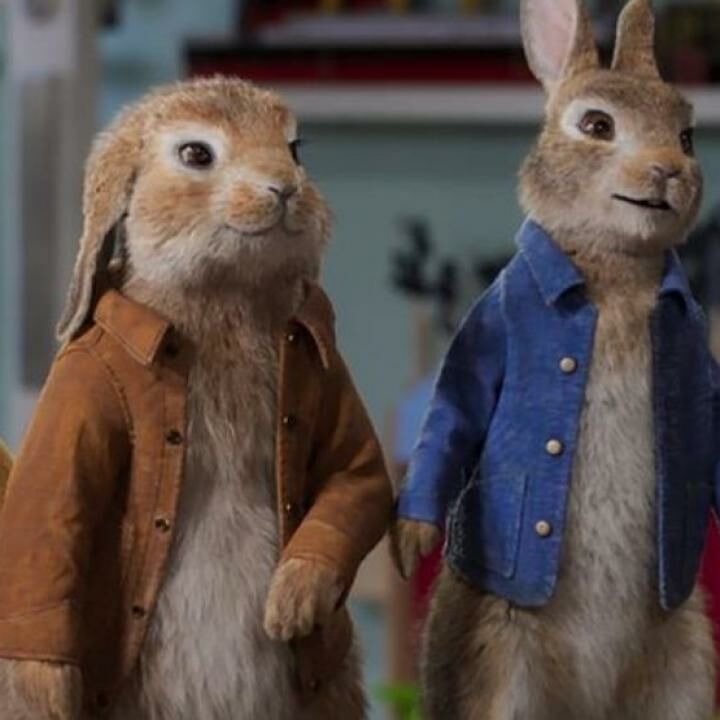 Nonton Peter Rabbit 2 The Runaway 2021 Full Movie Jalantikus