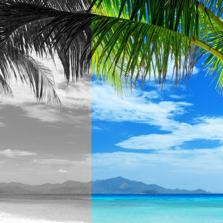 2 Cara Mudah Membuat Foto Hitam Putih Tanpa Photoshop