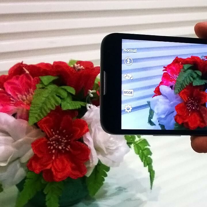 Adobe Premiere Clip Jalan Tikus