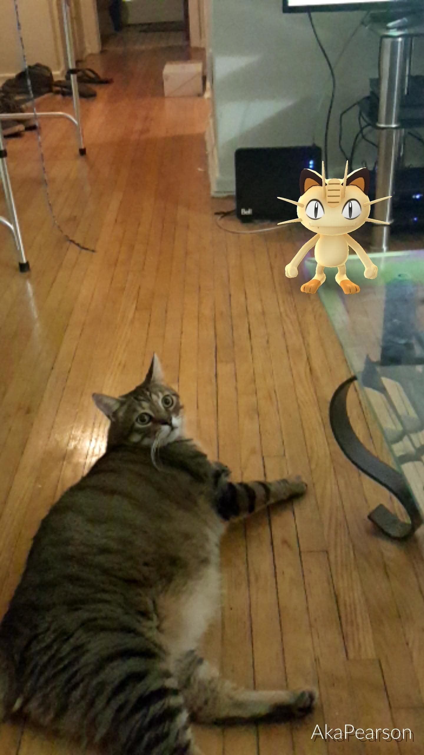 Pokemon Di Tempat Tak Terduga 15