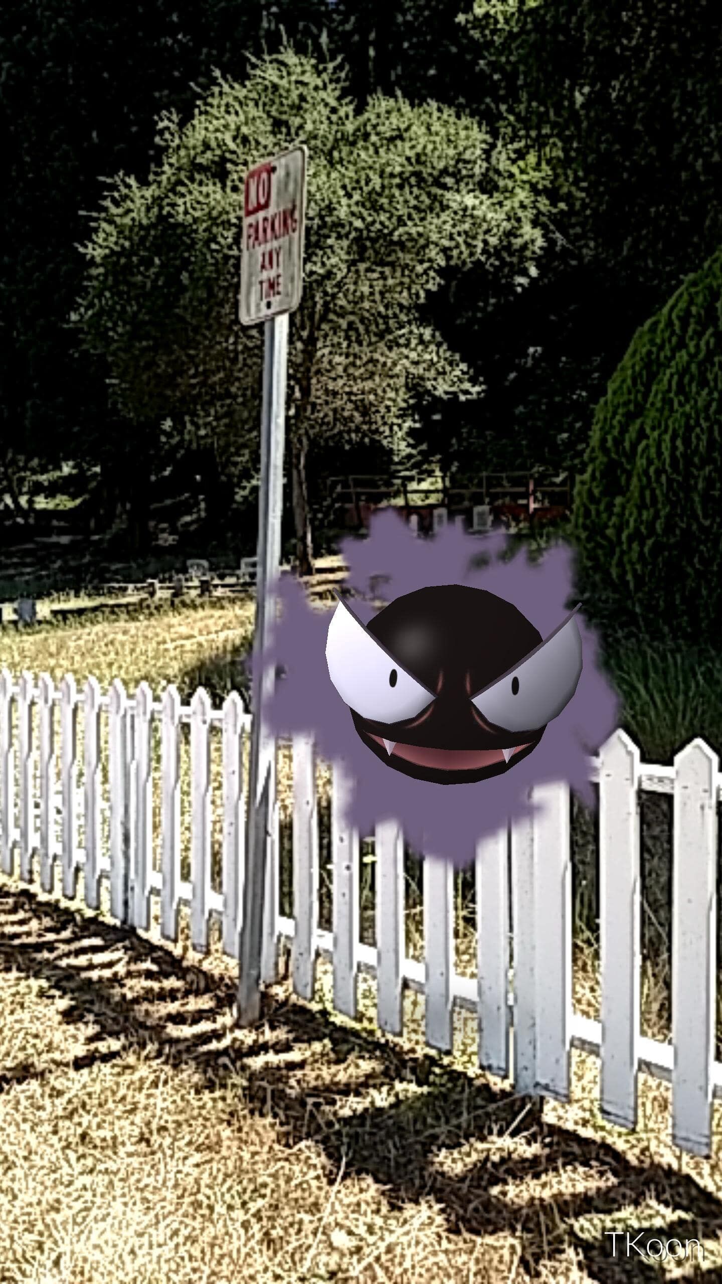 Pokemon Di Tempat Tak Terduga 16