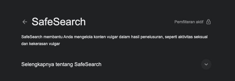 Safe Search Digembok 1e8bb