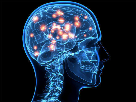 Brain