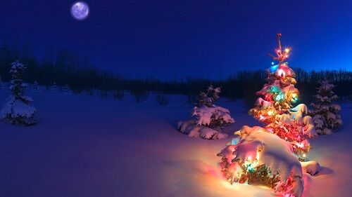 Wallpaper Natal 11