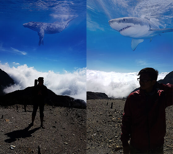 Foto Up And Up