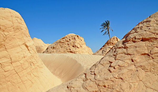 Kebili Tunisia 1000x0 Q80 Crop Smart Cbc67