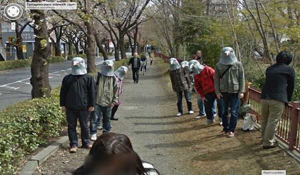 040406600 1453455988 Pigeon People 02 640x400 D8b05