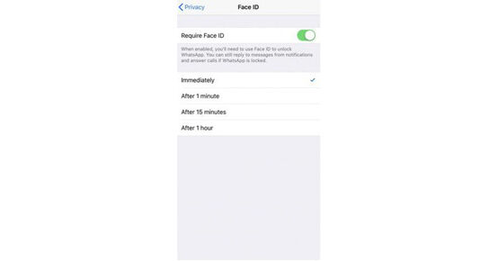 Cara Mengunci Whatsapp Faceid 9df4b