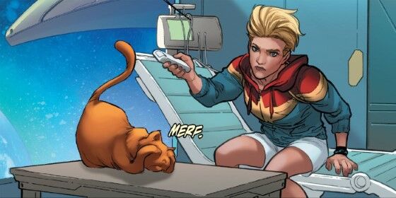 Hal Tentang Goose Captain Marvel 1 8835a