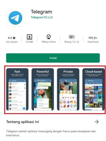 Aplikasi Palsu 6 F73b9