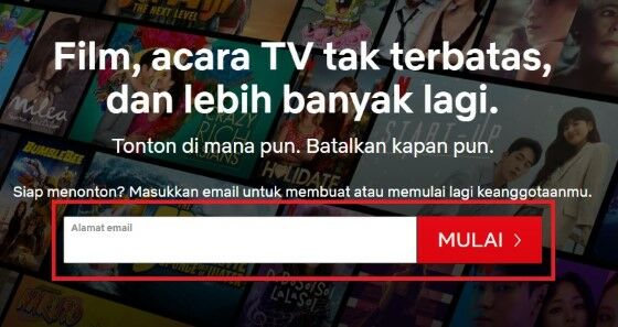 Netflix1 Custom 407cc