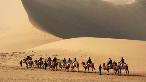 Silk Road Cb278