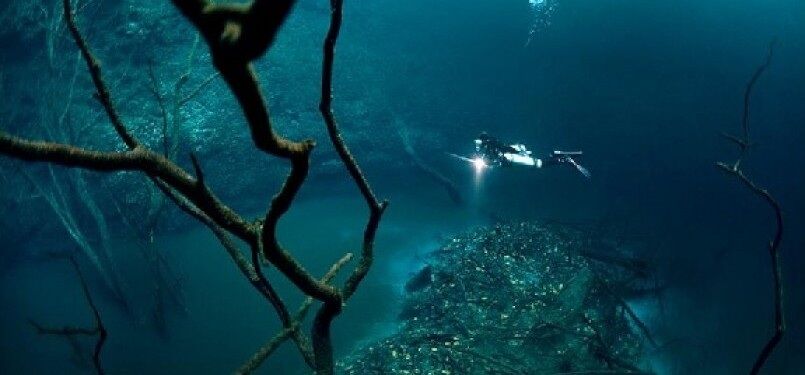 Sungai Di Dasar Laut 9f7b7