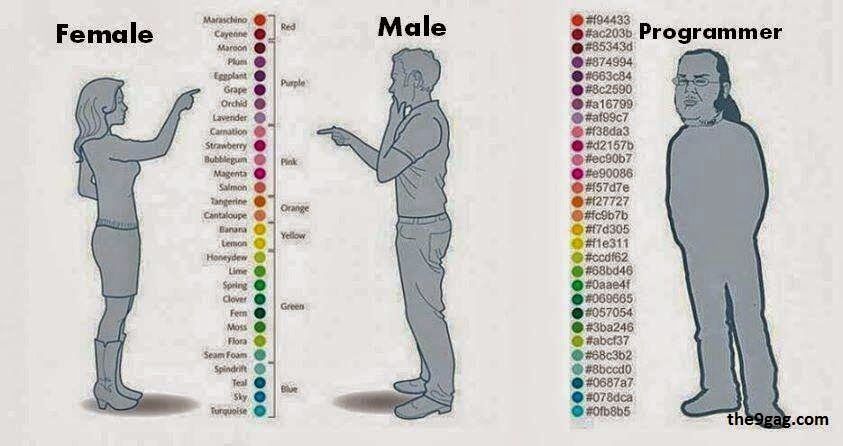 C13f591ba9f09ce2256ae8810a0fd8e5