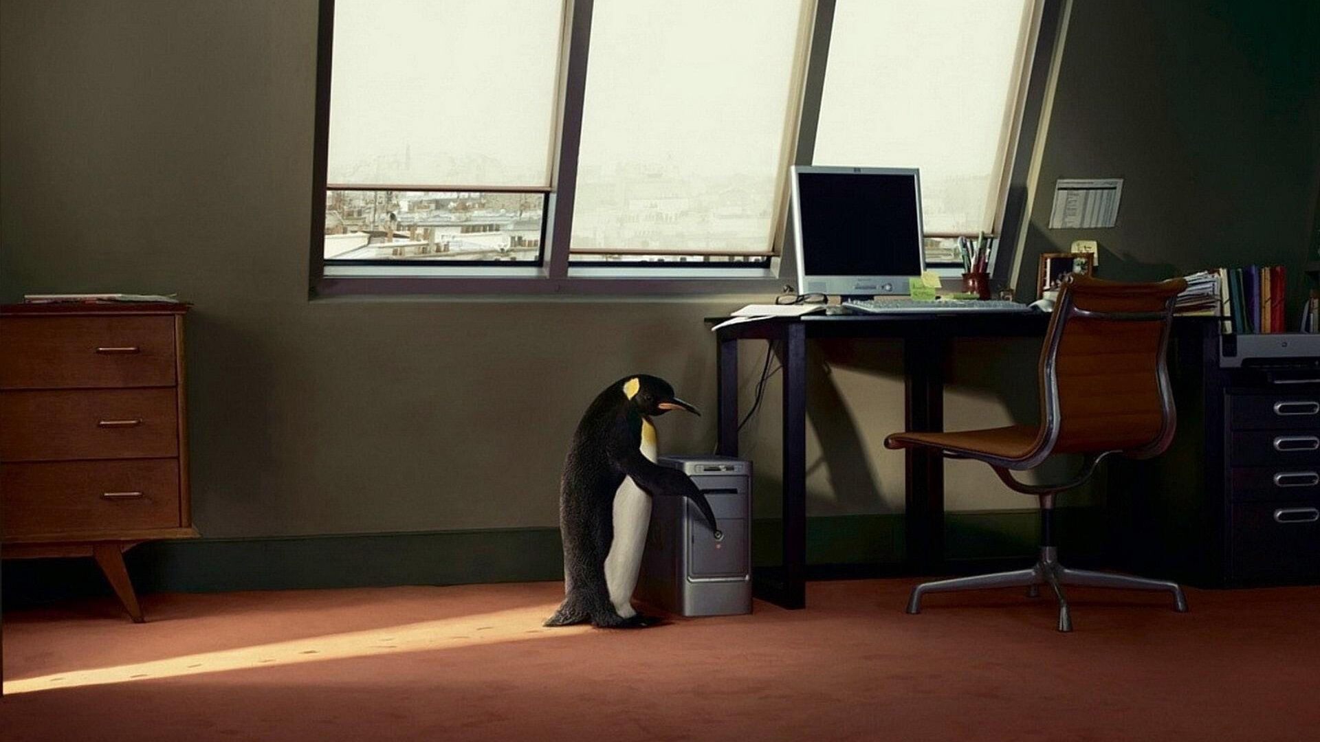 Home Penguin Linux Background