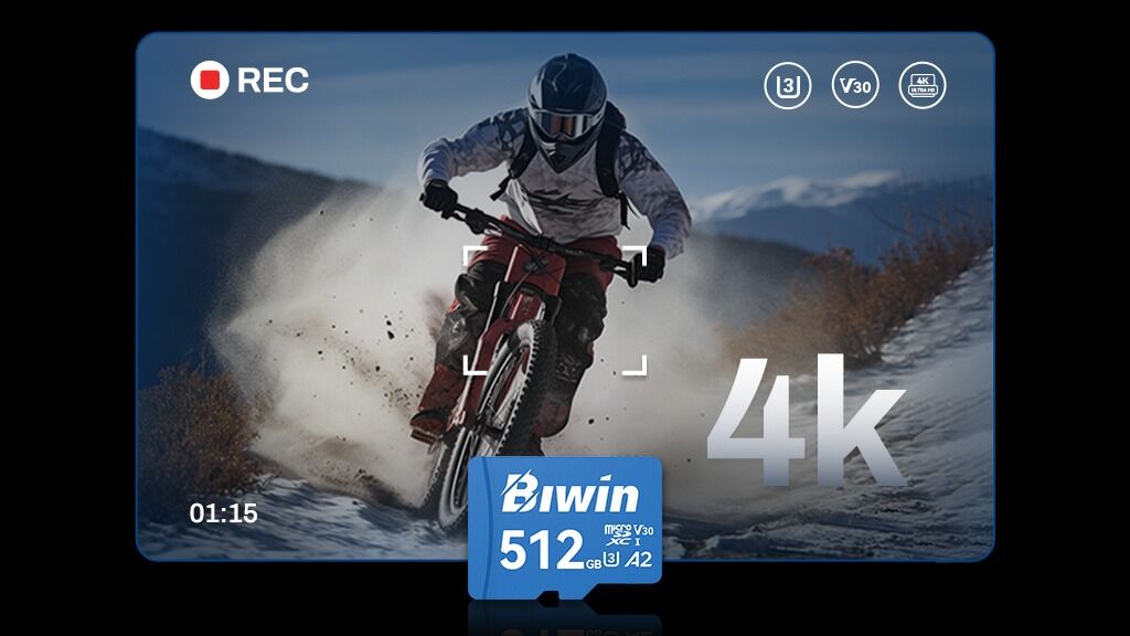 Biwin MS210 MicroSD Card 3f720