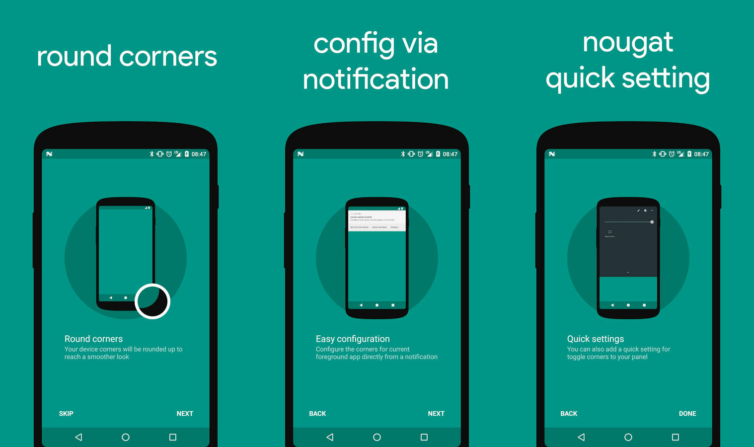 Cornerfly