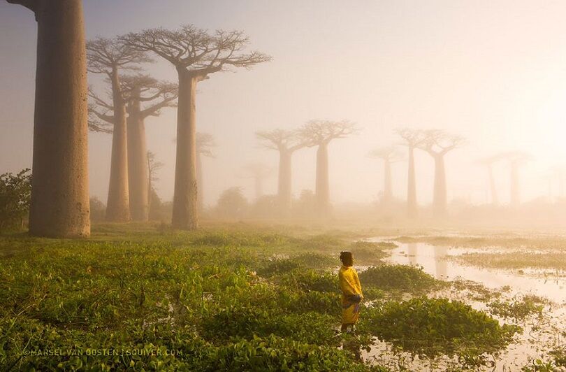 Foto Terbaik National Geographic 8