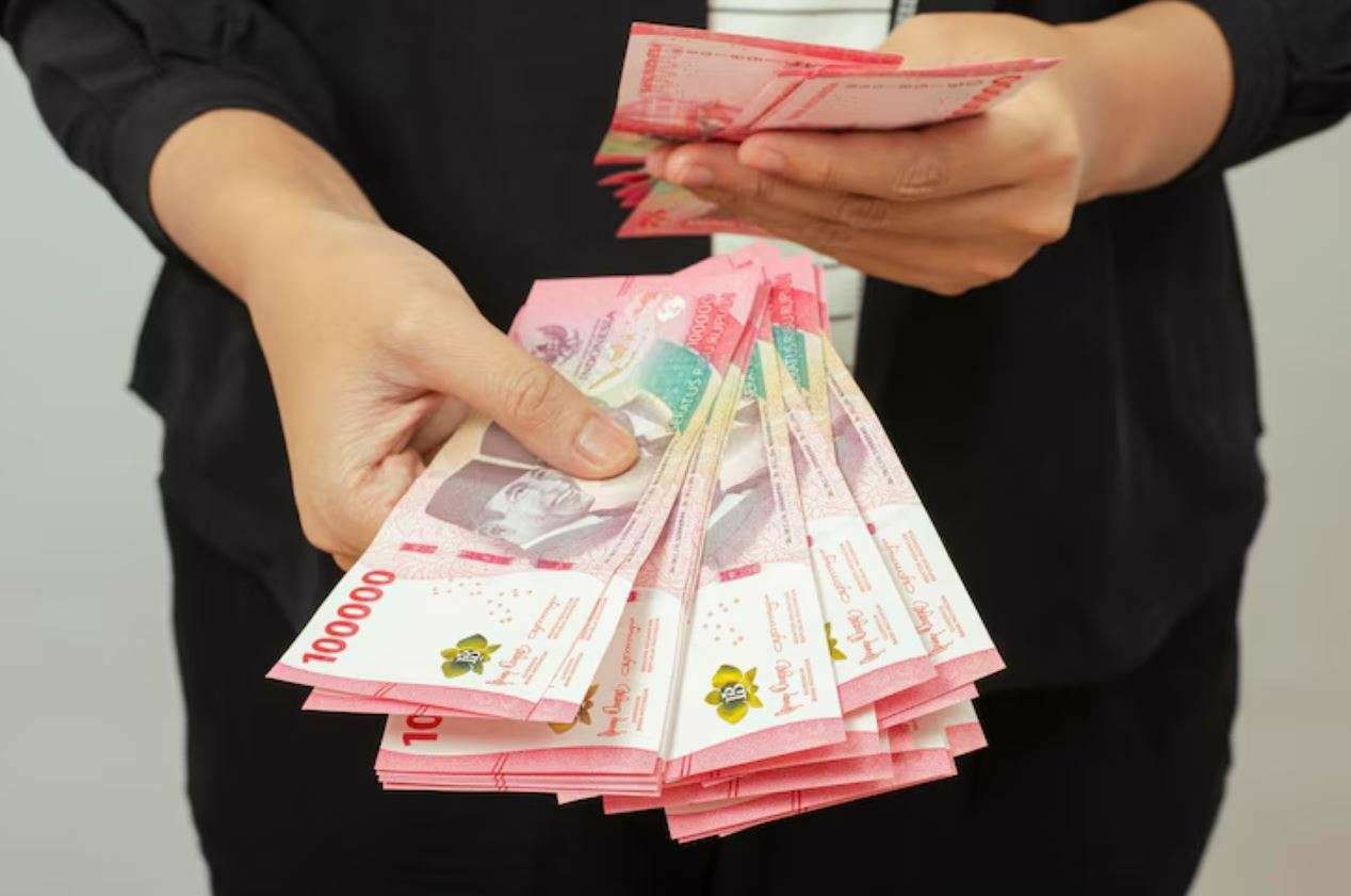 Cara Cek Nik Untuk Dapat BSU Cb44e
