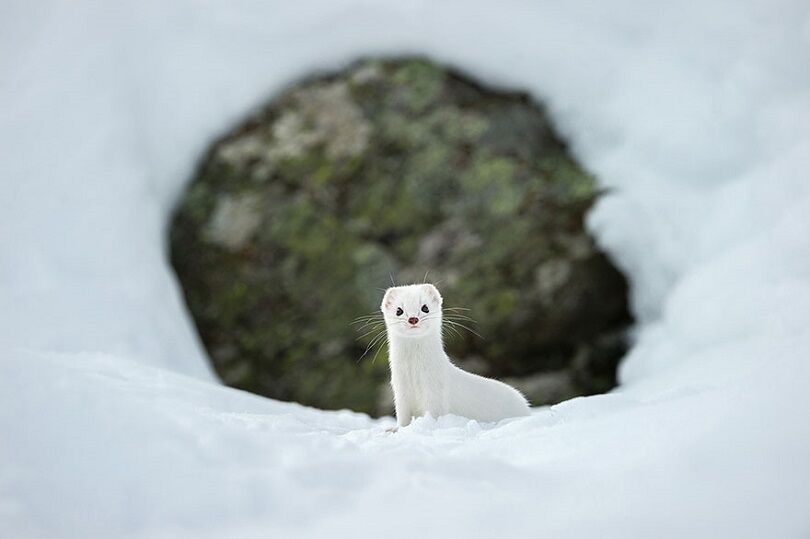Foto Terbaik National Geographic 12