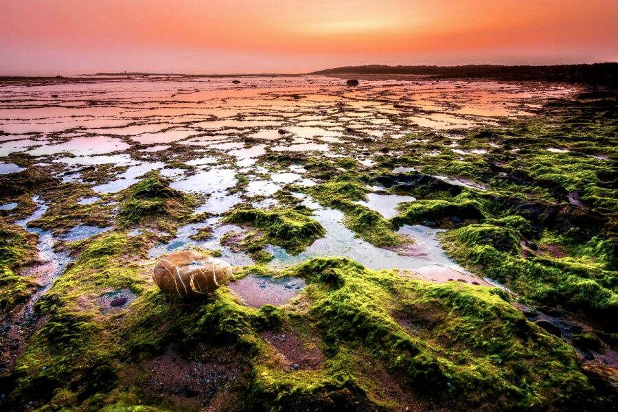 Foto Terlihat Seperti Planet Lain 6