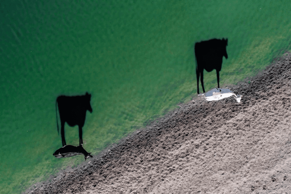 Fotografr Drone Terbaik Dronestagram 1