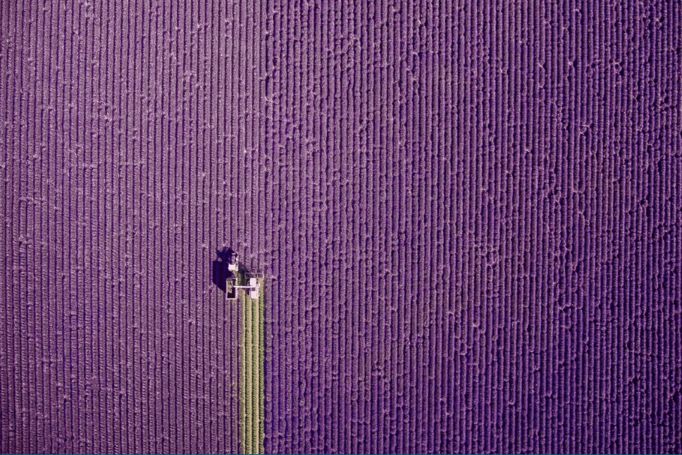 Fotografr Drone Terbaik Dronestagram 2