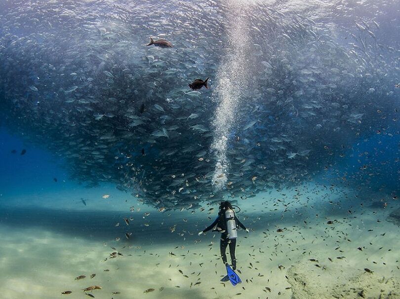 Foto Terbaik National Geographic 18