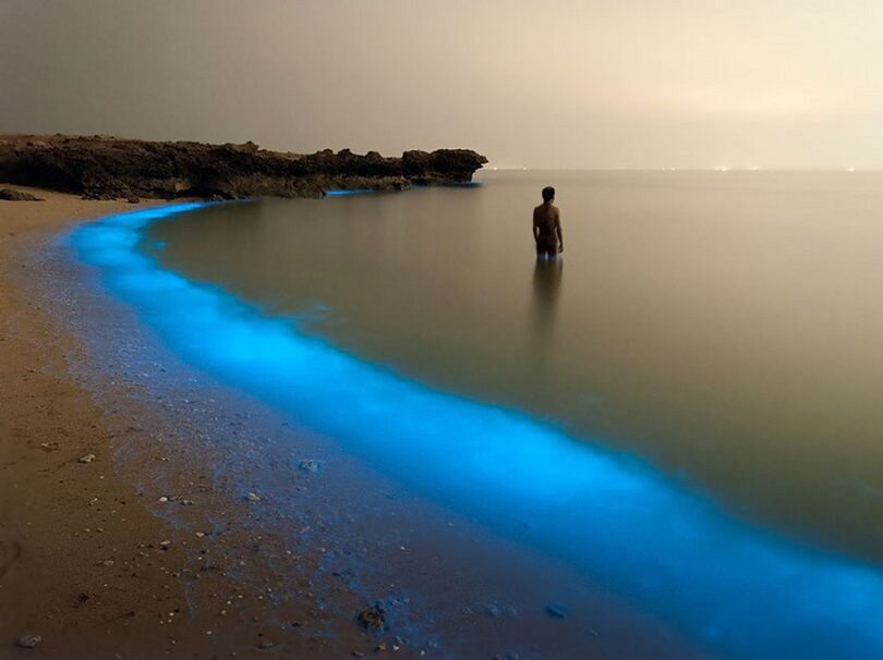 Foto Terbaik National Geographic 9