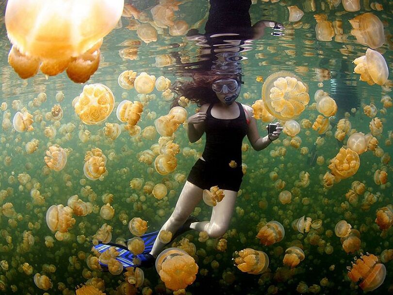 Foto Terbaik National Geographic 17
