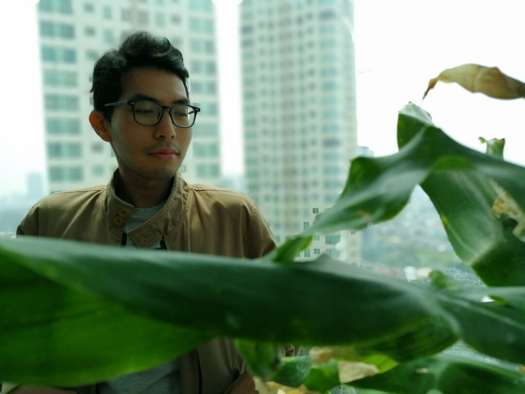 Hasil Foto Honor 8x 04 18635