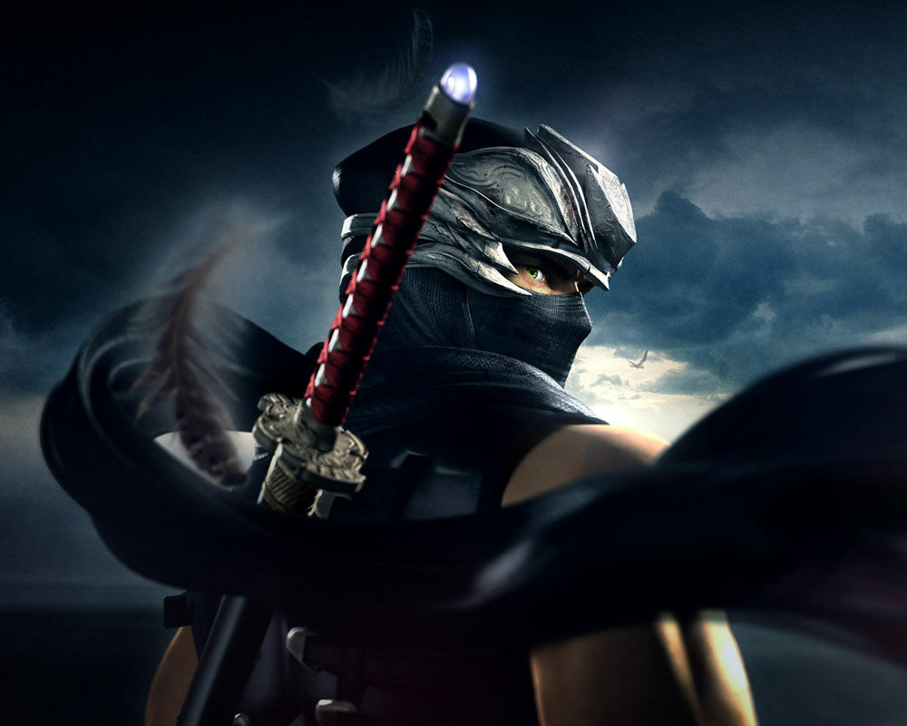 Ryuhayabusa