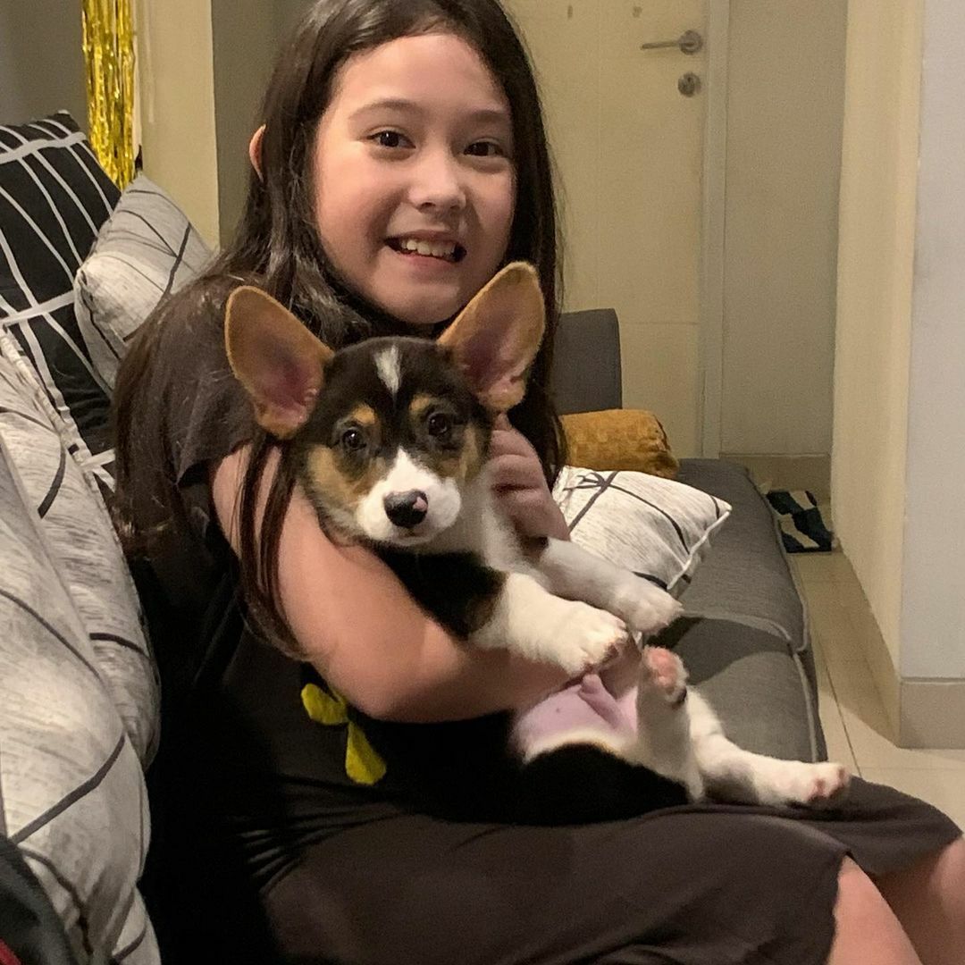 Mikhaela Dan Anjingnya Fdac4