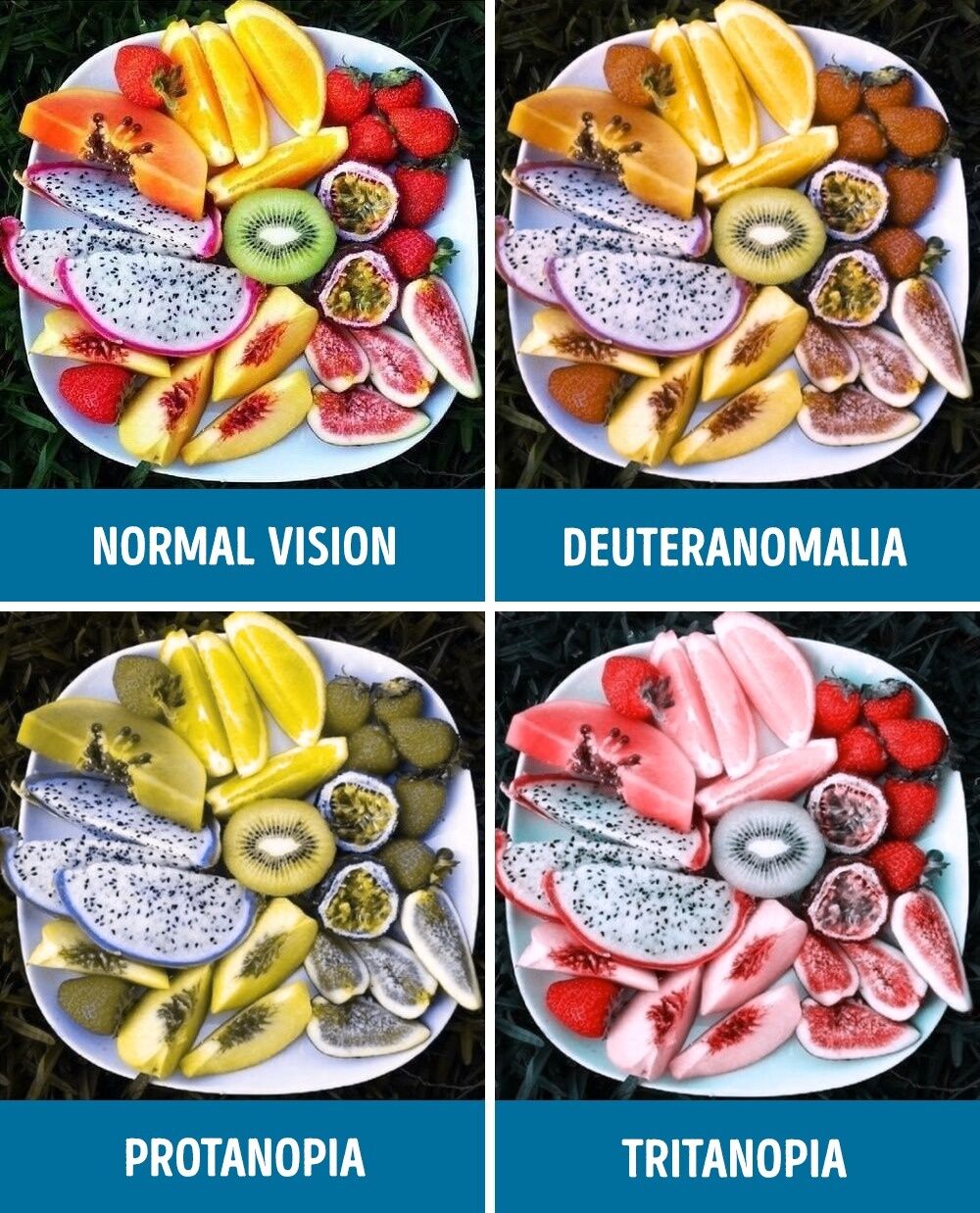 Perbandingan Mata Normal Dan Buta Warna 6