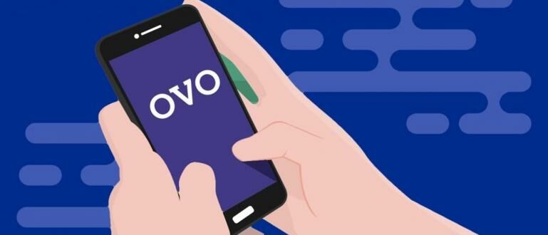 Cara Menjadi Merchant OVO Usaha Laris Manis! Jalantikus