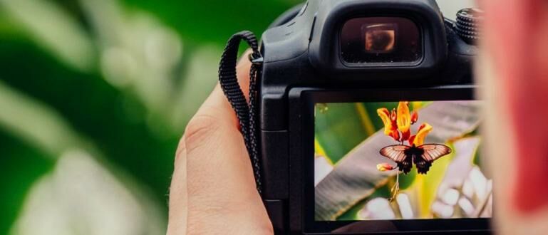 7 Kamera DSLR Murah Terbaik 2020, Mulai 1 Jutaan! | Jalantikus
