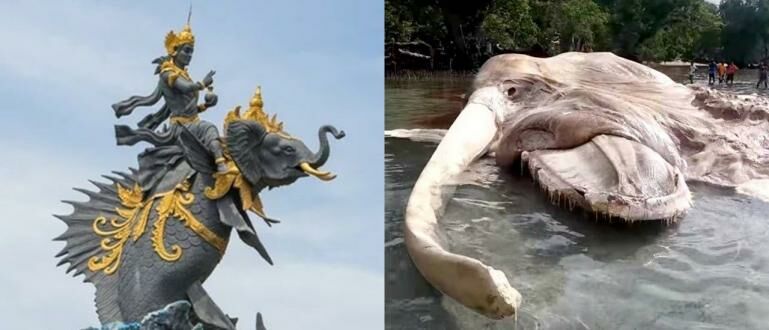 Heboh Penampakan Gajah Mina di Laut Natuna, Apa Itu? Jalantikus