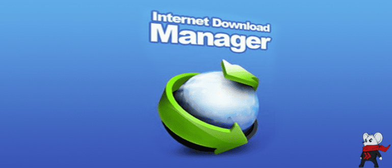 crack internet download manager 6.17 crack internet download manager 6.17