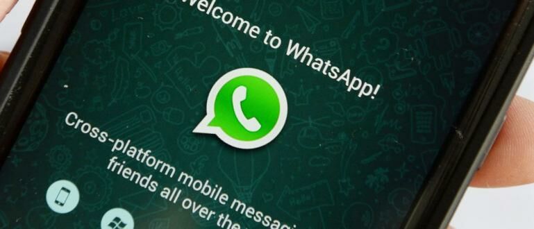 6 Cara Download Status di Whatsapp Android