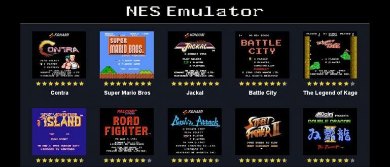 nintendo emulator games mac