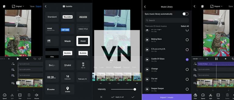 vn video editor app