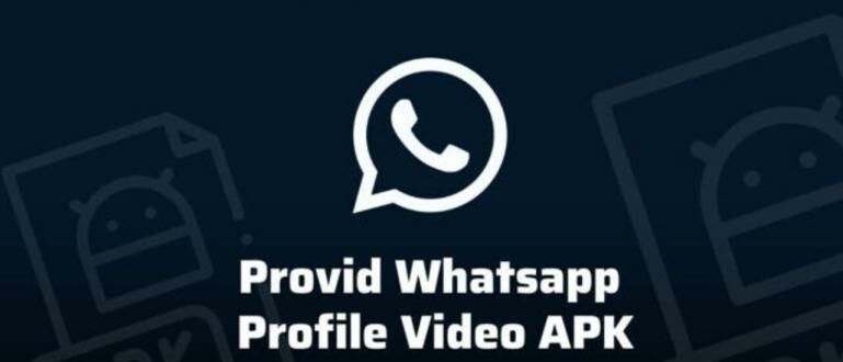 Download Provide WhatsApp Profile Video APK, Make WA Profile Photos Move!
