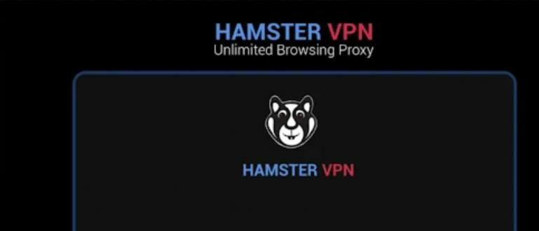 hamster vpn