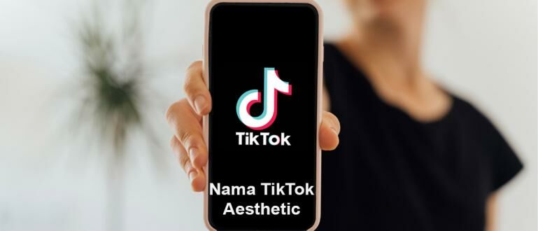 333+ Nama TikTok Aesthetic yang Keren dan Terbaru 2022 | JalanTikus