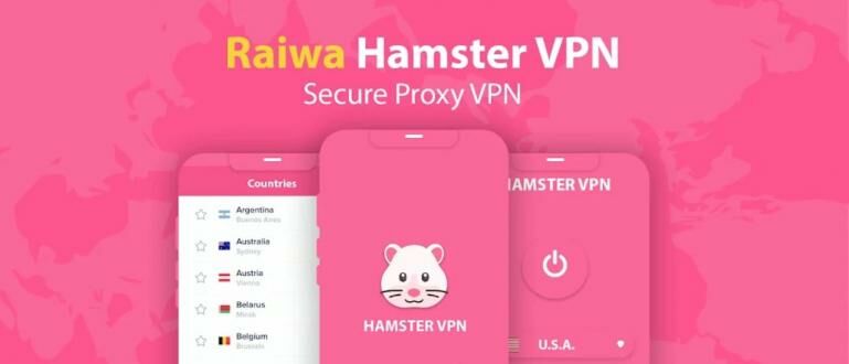 hamster vpn