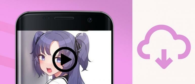 Kucing Pink APK v2 5 4 2 Unduh Versi terbaru untuk Android JalanTikus