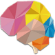 Brain Wars